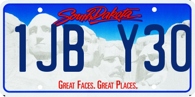 SD license plate 1JBY30