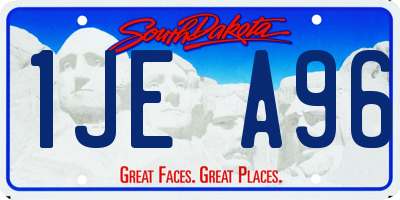 SD license plate 1JEA96