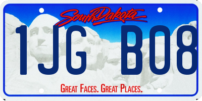 SD license plate 1JGB08