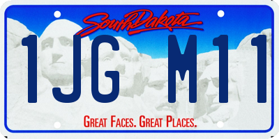 SD license plate 1JGM11
