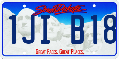SD license plate 1JIB18