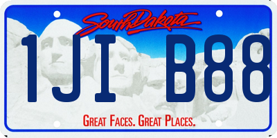 SD license plate 1JIB88