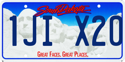 SD license plate 1JIX20