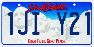 SD license plate 1JIY21