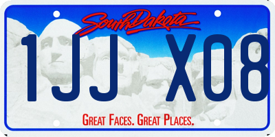 SD license plate 1JJX08