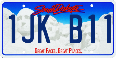 SD license plate 1JKB11