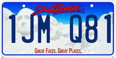 SD license plate 1JMQ81