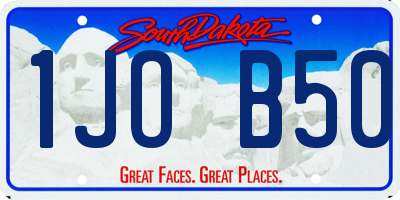SD license plate 1JOB50