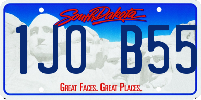 SD license plate 1JOB55