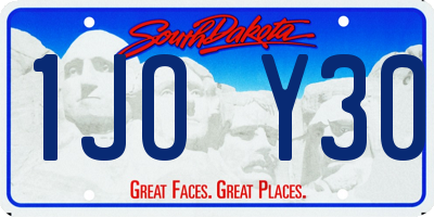 SD license plate 1JOY30