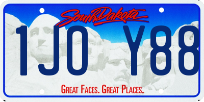 SD license plate 1JOY88