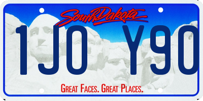 SD license plate 1JOY90