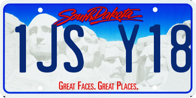 SD license plate 1JSY18