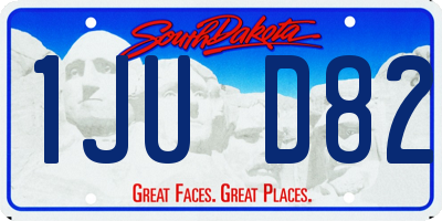 SD license plate 1JUD82