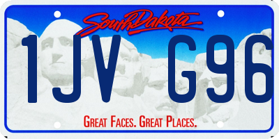 SD license plate 1JVG96
