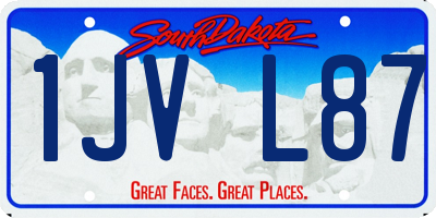 SD license plate 1JVL87
