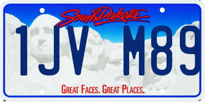 SD license plate 1JVM89