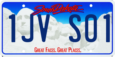SD license plate 1JVS01
