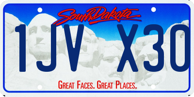SD license plate 1JVX30