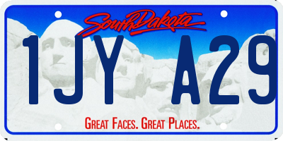 SD license plate 1JYA29