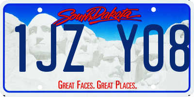 SD license plate 1JZY08