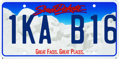 SD license plate 1KAB16