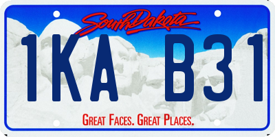 SD license plate 1KAB31
