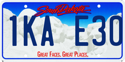 SD license plate 1KAE30