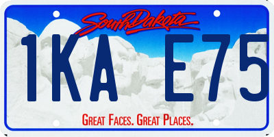 SD license plate 1KAE75