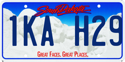 SD license plate 1KAH29