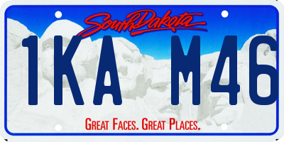 SD license plate 1KAM46