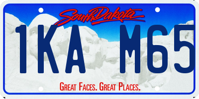 SD license plate 1KAM65