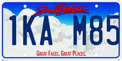 SD license plate 1KAM85