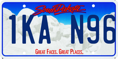 SD license plate 1KAN96