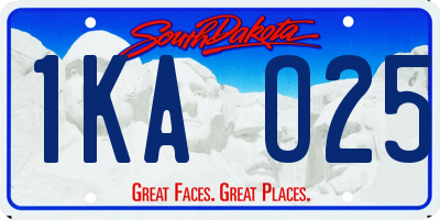 SD license plate 1KAO25
