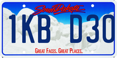 SD license plate 1KBD30