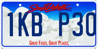 SD license plate 1KBP30