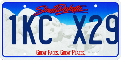SD license plate 1KCX29