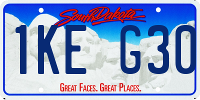 SD license plate 1KEG30