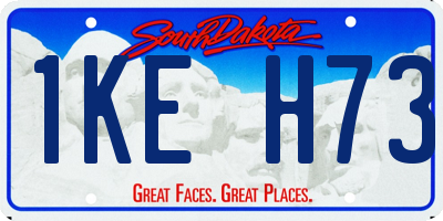 SD license plate 1KEH73