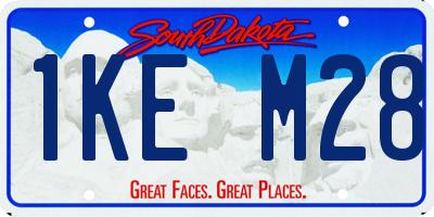 SD license plate 1KEM28