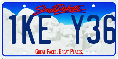 SD license plate 1KEY36