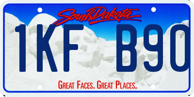 SD license plate 1KFB90