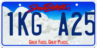 SD license plate 1KGA25