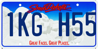 SD license plate 1KGH55