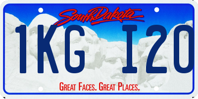 SD license plate 1KGI20