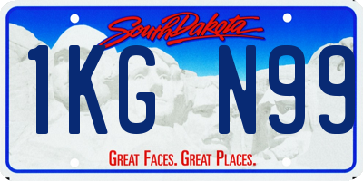 SD license plate 1KGN99