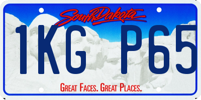 SD license plate 1KGP65