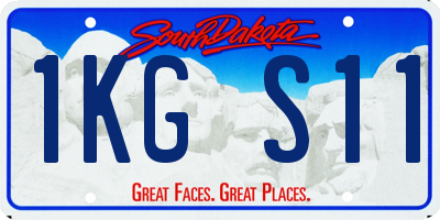 SD license plate 1KGS11