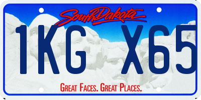 SD license plate 1KGX65